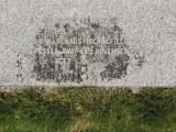 image of grave number 724209